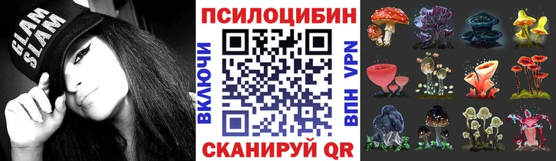 закладка  Электроугли  Галлюциногенные грибы Cubensis 